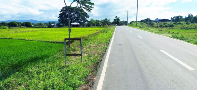 80 Hectares Lot in Gapan City