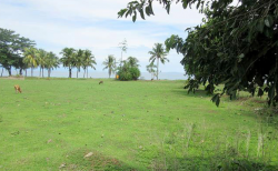 Beachfront/Agricultural Lot