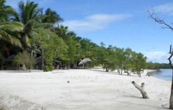 FOR JOINT VENTURE AND SALE: Beach Lot with Fish Pond