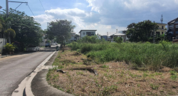 Lot For Sale in Parkwood Executive Village