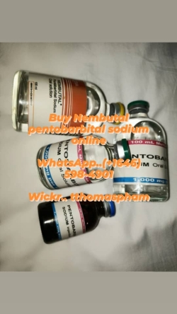 Contact whatssAp..+6465984901 Wickr..tth0maspham Buy cheap nembutal pentobarbital sodium, pills, liquid, powder, SECONAL FOR SALE ONLINE, SECONAL and 