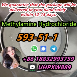 Top quality Methylamine hydrochloride CAS 593-51-1 fast delivery Whatsapp:+86 18832993759