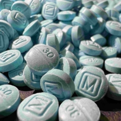 Oxycontin 40mg , Ecstasy- MDMA , VIAGRA 100mg – Diazepam Valium 10mg WICKR ME: Dillandday
