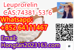 Leuprorelin CAS:74381-53-6