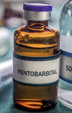 Nembutal Pentobarbital Sodium For Sale