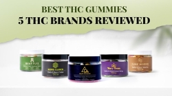 Best THC gummies