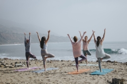 Find Professional Yoga Therapy Coaching Online