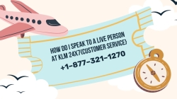 How Do I Speak To a Live Person At KLM