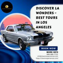  Find Memorable Experiences: Best Tours in Los Angeles