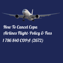How To Cancel Copa Airlines Flight 