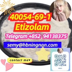 40054-69-1 Etizolam