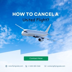 How To Cancel A United Flight?