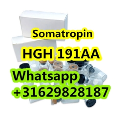 high quality HGH 191AA(Somatropin） in stock