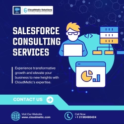 Transform Your Business with Expert Salesforce Consulting Services