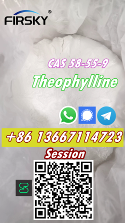 CAS 58-55-9  Theophylline  China Top Chemical precursors supplier Whatsapp/signal/telegram +8613667114723