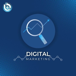 Expert Digital Marketing in Miami