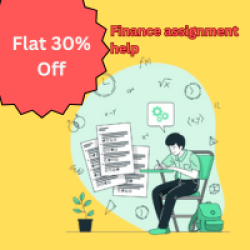 Urgent Finance Assignment Help – Flat 30% Off