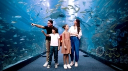 Explore the Wonders of Dubai Aquarium & Underwater Zoo