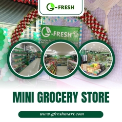 Growth of Mini Grocery Store in India