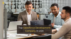 Top Salesforce Development Company In USA