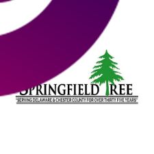 springfieldtree